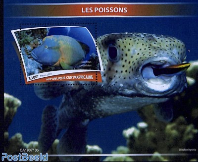 Fish s/s