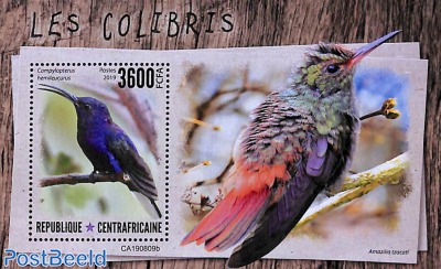 Hummingbirds s/s
