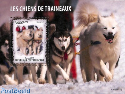 Sledge dogs s/s