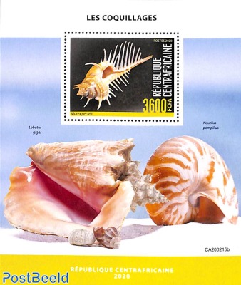 Shells s/s
