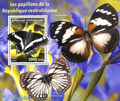Butterflies s/s