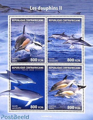 Dolphins 4v m/s