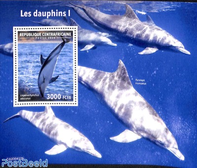 Dolphins s/s