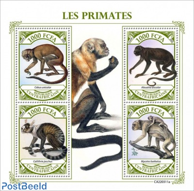 Primates/ Monkeys