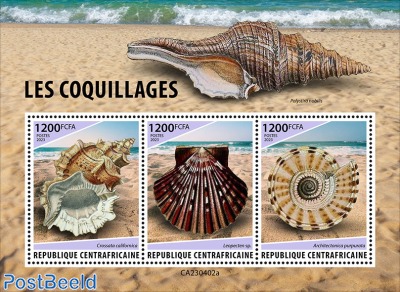 Shells
