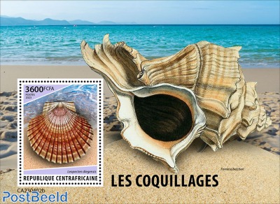Shells