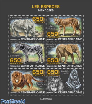 Endangered species 