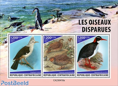 Extinct birds