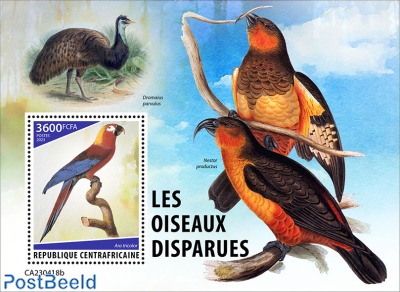 Extinct birds