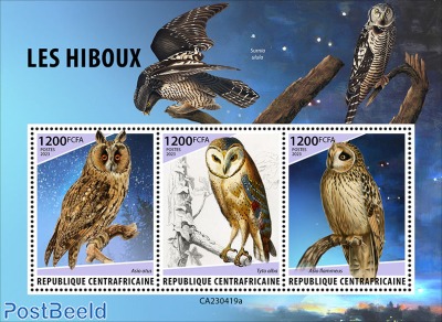 Owls
