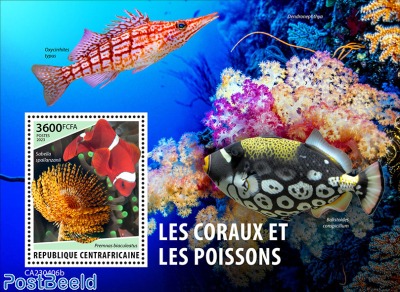 Corals and tropical fishes