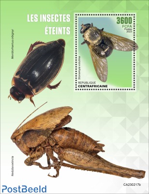 Extinct insects