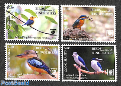 Kingfishers 4v