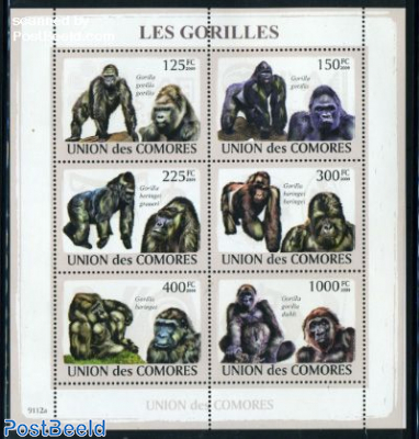 Gorillas 6v m/s
