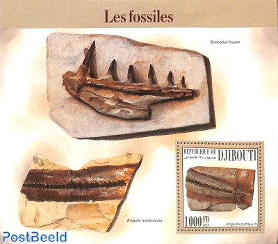 Fossiles s/s