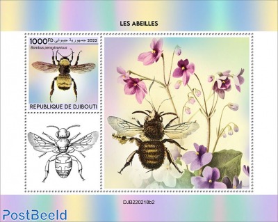 Bees (Bombus pensylvanicus)