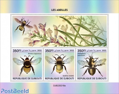 Bees (Bombus lapponicus; Apathus vestalis; Anthophora acervorum)