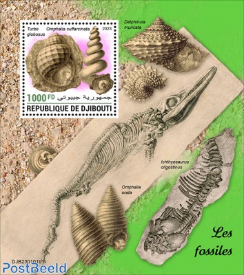 Fossils