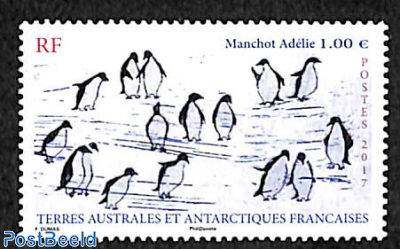 Penguin, Manchot Adélie 1v