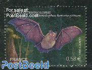 Bats 1v