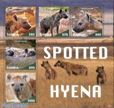 Spotted Hyena 5v m/s