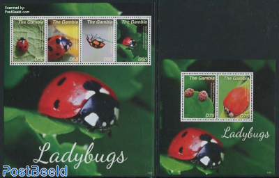 Ladybugs 2 s/s