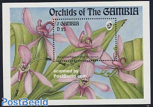 Orchids s/s, Ancistrochilus Rothschildianus