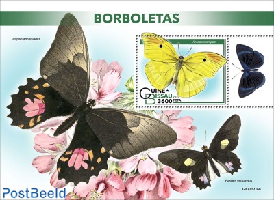 Butterflies
