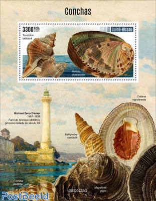 Shells