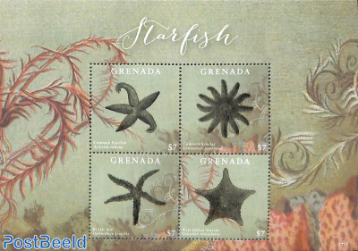 Starfish 4v m/s