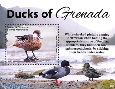Ducks of Grenada s/s