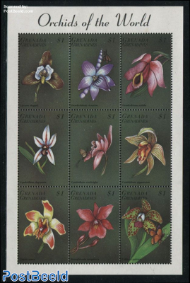 Orchids 9v m/s