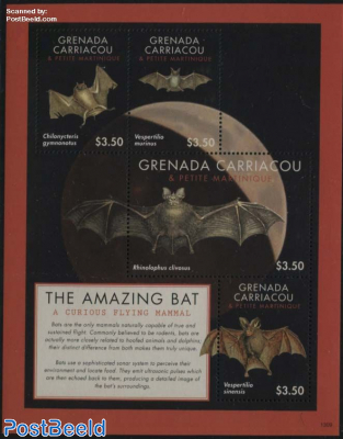 The Amazing bat 4v m/s