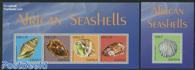 African Shells 2 s/s