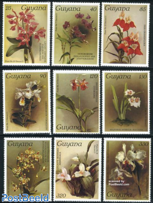 Orchids 9v