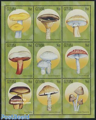 Mushrooms 9v m/s, Russula Ochroleuca