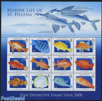 Marine life of St. Helena 12v m/s