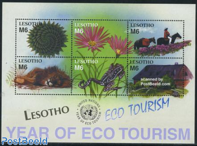 Eco tourism 6v m/s