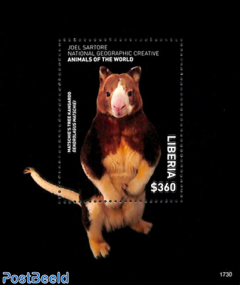 Animals of the world, Matschie's tree Kangaroo s/s