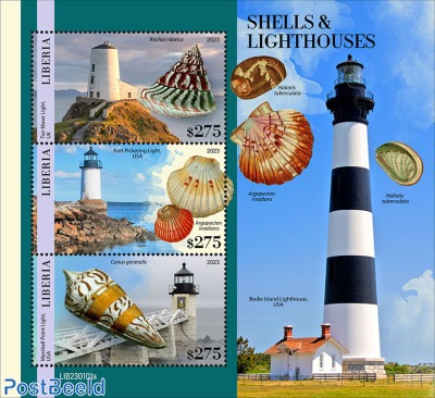 Shells & Lighthouses