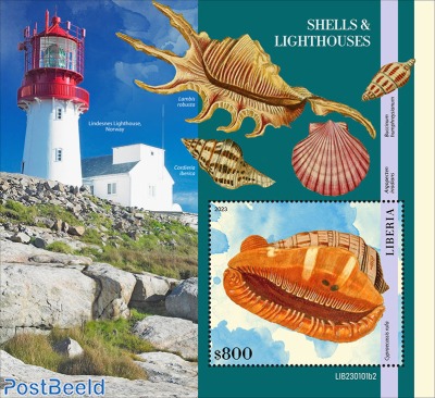 Shells & Lighthouses