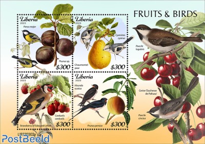Fruits and birds
