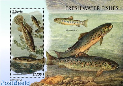 Fresh water fishes