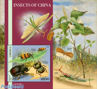 Insects of China