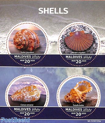 Shells 4v m/s