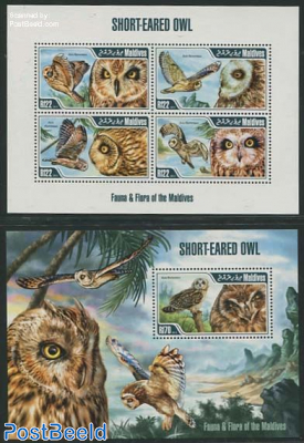 Short-eared Owl 2 s/s