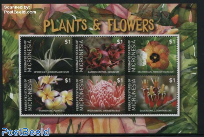 Plants & Flowers 6v m/s