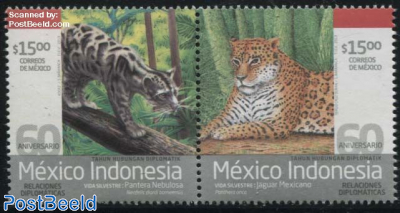 Wild Cats 2v [:], Joint Issue Indonesia