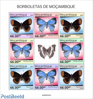 Butterflies of Mozambique