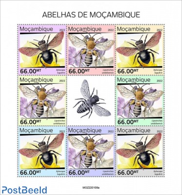 Bees of Mozambique
